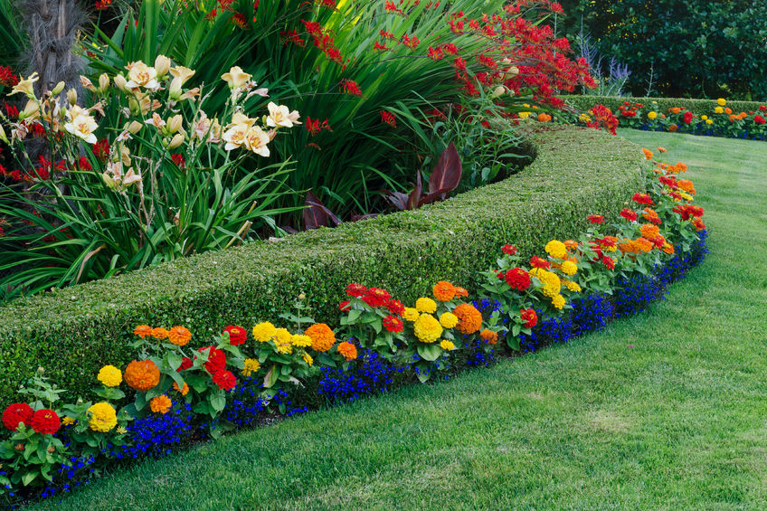 how to hire landscaping professionals for your hoa in denver